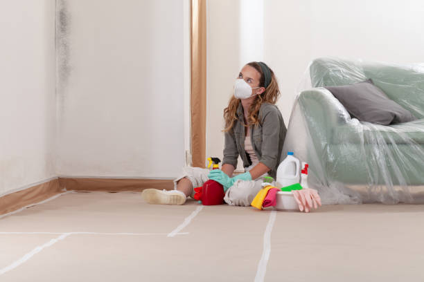 Reliable Mold Inspection And Testing contractor in Grapevine, TX by Car Mold Remediation
